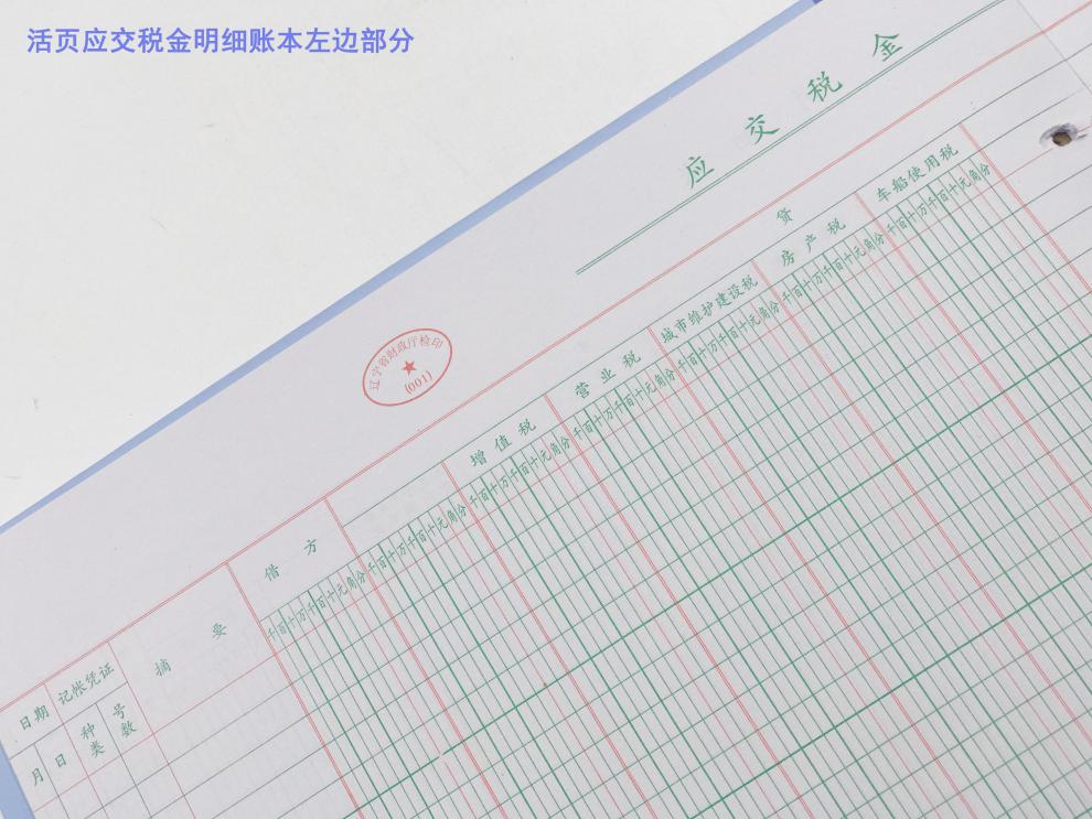 现金日记账银行存款账本三栏明细账总账保管账库存流水账簿帐本 100页银行存款日记帐